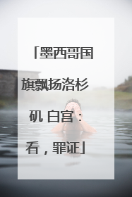 墨西哥国旗飘扬洛杉矶 白宫：看，罪证