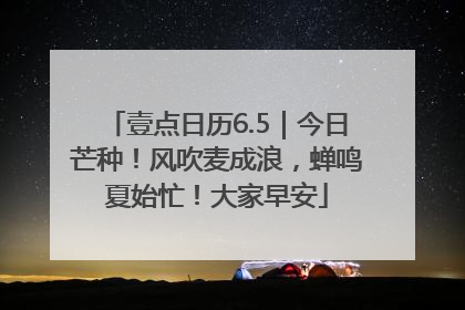 壹点日历6.5｜今日芒种！风吹麦成浪，蝉鸣夏始忙！大家早安