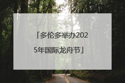 多伦多举办2025年国际龙舟节