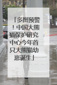 多图预警！中国大熊猫保护研究中心今年首只大熊猫幼崽诞生