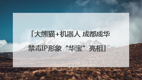 大熊猫+机器人 成都成华禁毒IP形象“华宝”亮相