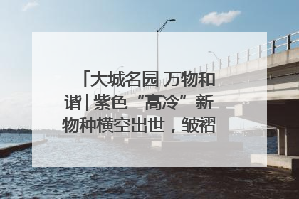 大城名园 万物和谐│紫色“高冷”新物种横空出世，皱褶叶片暗藏进化密码