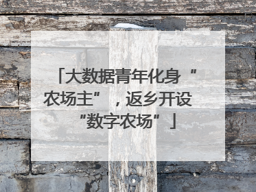 大数据青年化身“农场主”，返乡开设“数字农场”