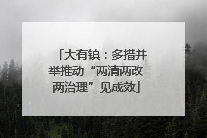 大有镇：多措并举推动“两清两改两治理”见成效