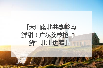 天山南北共享岭南鲜甜！广东荔枝抢“鲜”北上进疆