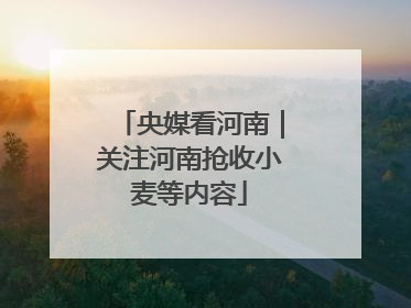 央媒看河南｜关注河南抢收小麦等内容