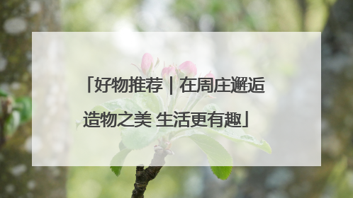 好物推荐｜在周庄邂逅造物之美 生活更有趣