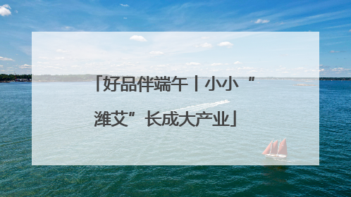 好品伴端午丨小小“潍艾”长成大产业