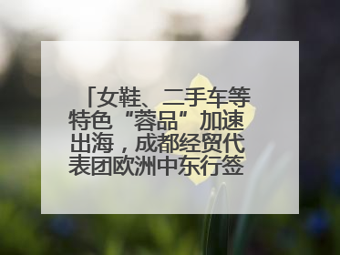 女鞋、二手车等特色“蓉品”加速出海，成都经贸代表团欧洲中东行签单逾3.7亿元