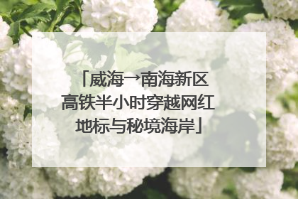 威海→南海新区 高铁半小时穿越网红地标与秘境海岸