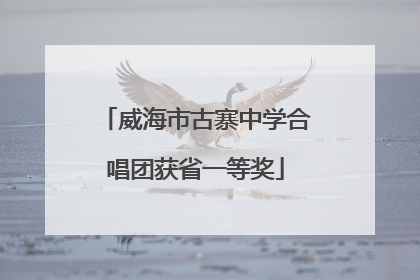 威海市古寨中学合唱团获省一等奖
