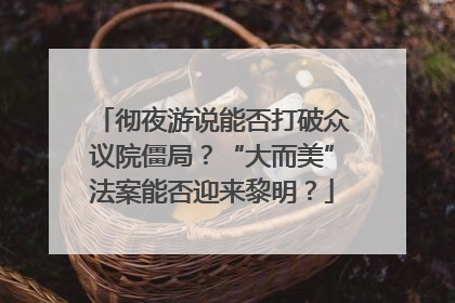 彻夜游说能否打破众议院僵局？“大而美”法案能否迎来黎明？