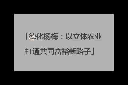 德化杨梅：以立体农业打通共同富裕新路子