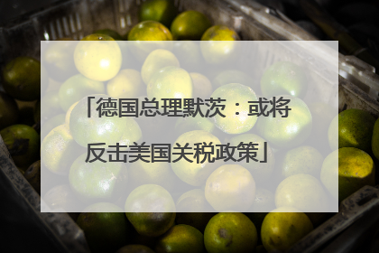 德国总理默茨：或将反击美国关税政策