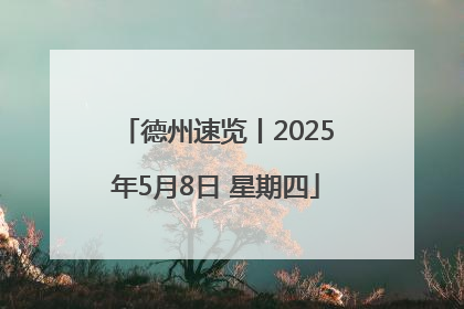 德州速览丨2025年5月8日 星期四