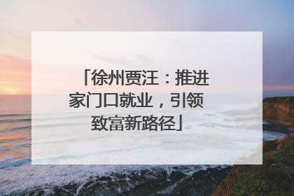 徐州贾汪：推进家门口就业，引领致富新路径