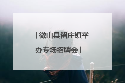 微山县留庄镇举办专场招聘会