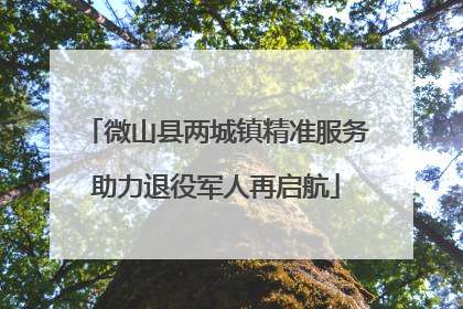 微山县两城镇精准服务助力退役军人再启航