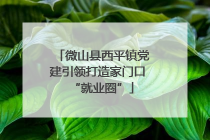微山县西平镇党建引领打造家门口“就业圈”