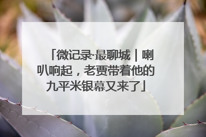 微记录·最聊城｜喇叭响起，老贾带着他的九平米银幕又来了