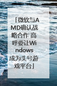 微软与AMD确认战略合作 高呼要让Windows成为头号游戏平台