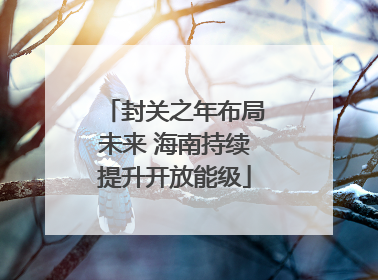 封关之年布局未来 海南持续提升开放能级