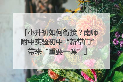 小升初如何衔接？南师附中实验初中“新掌门”带来“重要一课”