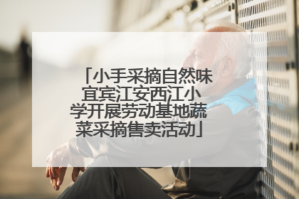 小手采摘自然味 宜宾江安西江小学开展劳动基地蔬菜采摘售卖活动