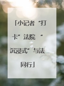 小记者“打卡”法院 “沉浸式”与法同行