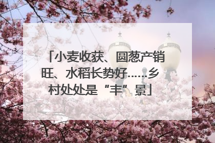 小麦收获、圆葱产销旺、水稻长势好……乡村处处是“丰”景