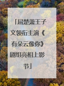 屈楚萧王子文领衔主演《有朵云像你》剧组亮相上影节