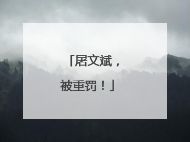 屠文斌，被重罚！
