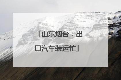 山东烟台：出口汽车装运忙