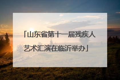 山东省第十一届残疾人艺术汇演在临沂举办