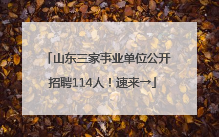 山东三家事业单位公开招聘114人！速来→