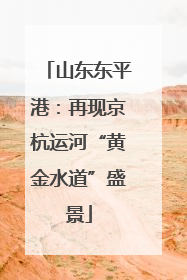 山东东平港：再现京杭运河“黄金水道”盛景