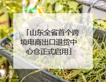 山东全省首个跨境电商出口退货中心仓正式启用