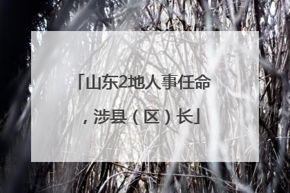山东2地人事任命，涉县（区）长