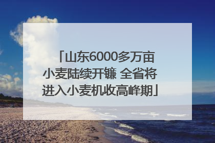 山东6000多万亩小麦陆续开镰 全省将进入小麦机收高峰期