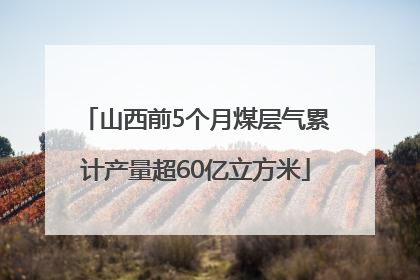 山西前5个月煤层气累计产量超60亿立方米