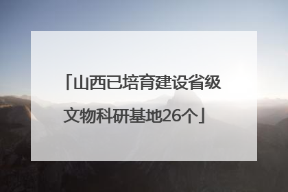 山西已培育建设省级文物科研基地26个