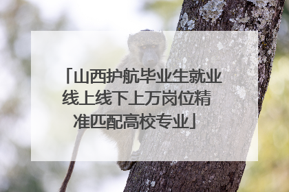 山西护航毕业生就业 线上线下上万岗位精准匹配高校专业