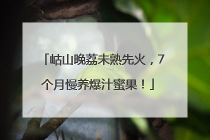 岵山晚荔未熟先火，7个月慢养爆汁蜜果！