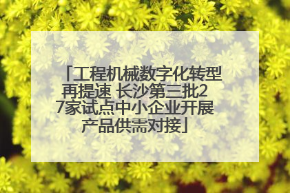 工程机械数字化转型再提速 长沙第三批27家试点中小企业开展产品供需对接