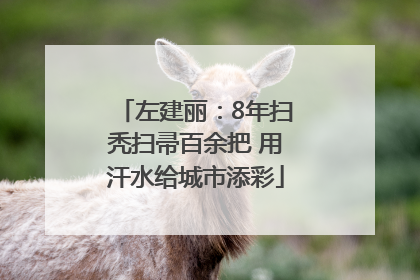 左建丽：8年扫秃扫帚百余把 用汗水给城市添彩