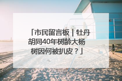 市民留言板｜牡丹胡同40年树龄大杨树因何被扒皮？