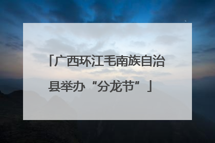 广西环江毛南族自治县举办“分龙节”