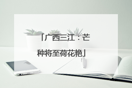 广西三江：芒种将至荷花艳