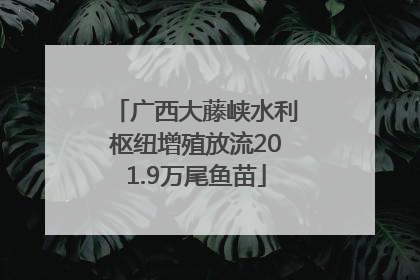 广西大藤峡水利枢纽增殖放流201.9万尾鱼苗