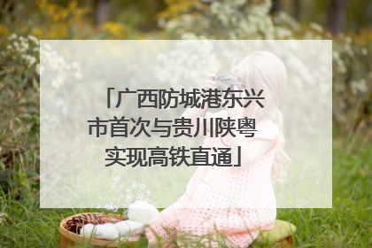 广西防城港东兴市首次与贵川陕粤实现高铁直通